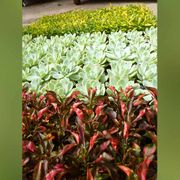 Gartenbau Andreas Zeisig